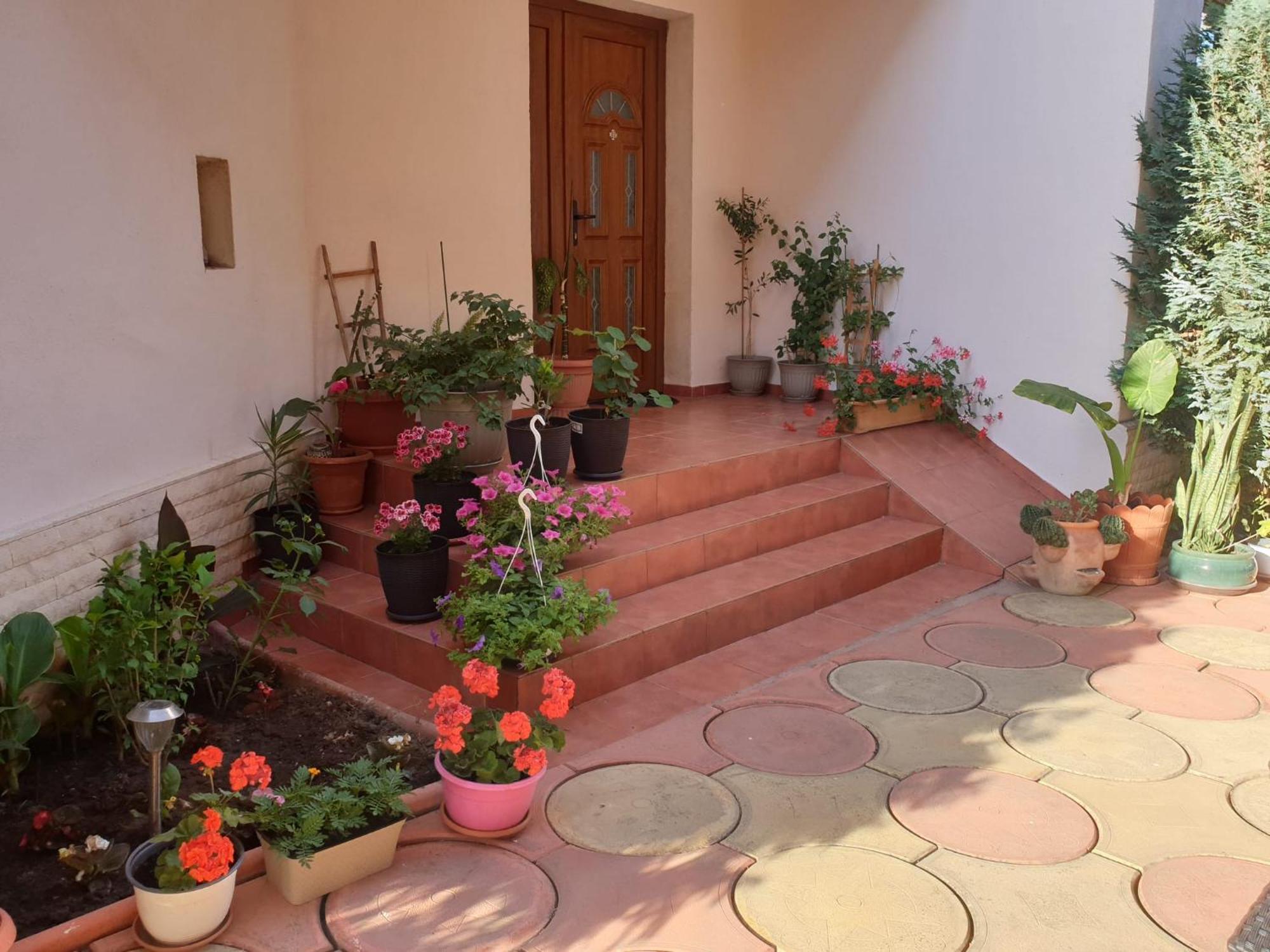 Casa Mary Hotel Costineşti Exterior foto
