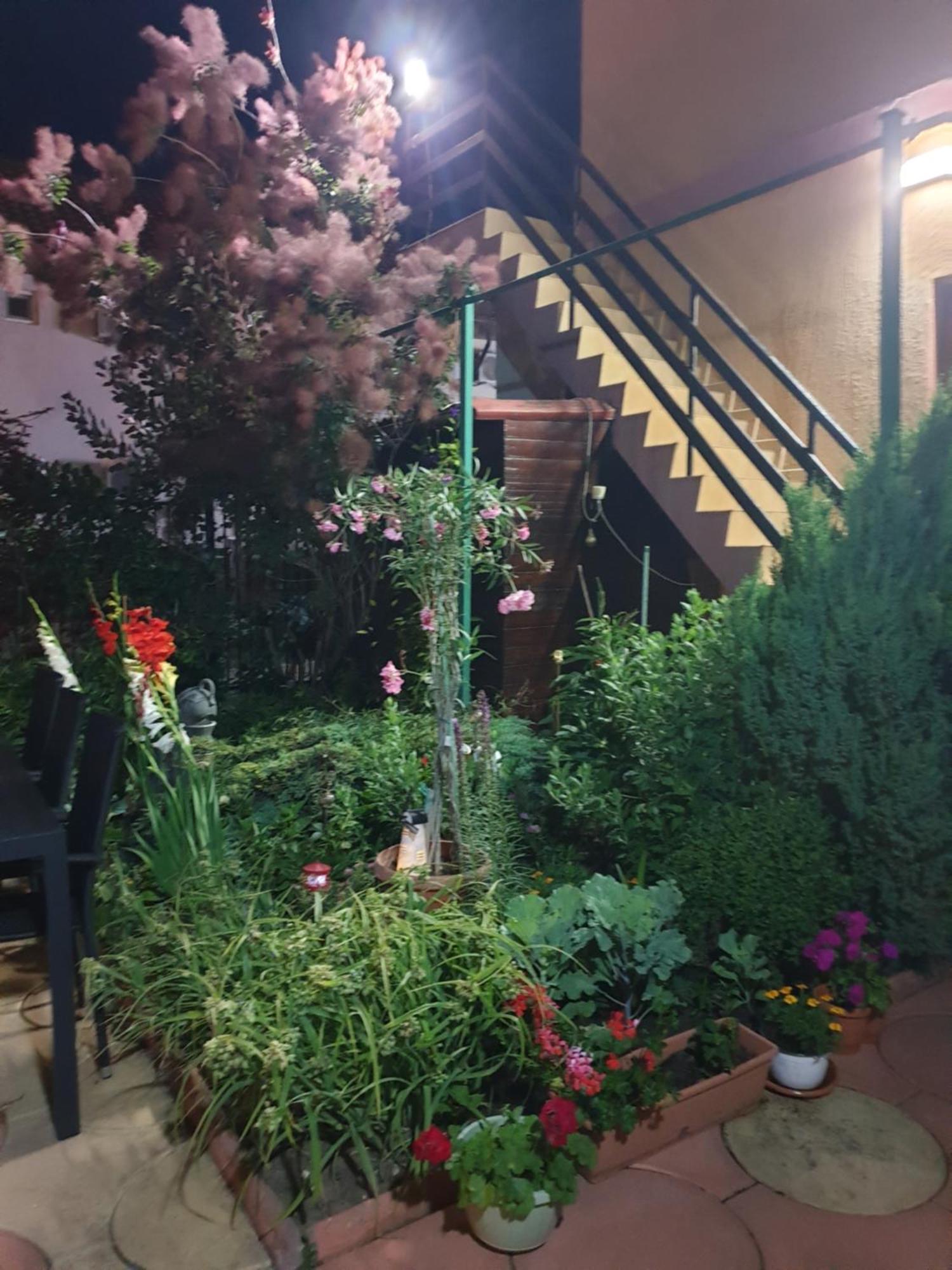 Casa Mary Hotel Costineşti Exterior foto